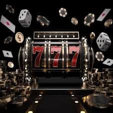 65q